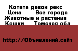 Котята девон рекс › Цена ­ 1 - Все города Животные и растения » Кошки   . Томская обл.